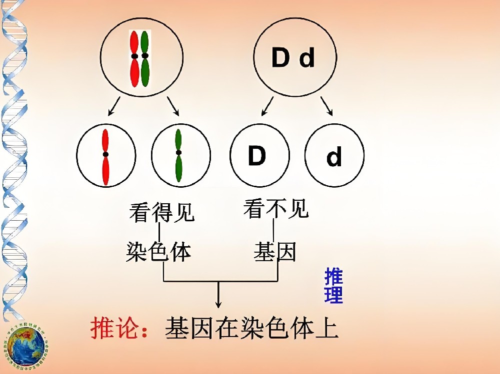 南昌亲子鉴定的三大应用场景！建议收藏